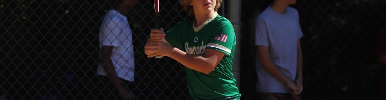 Baseball League Mendham Township 1280x334